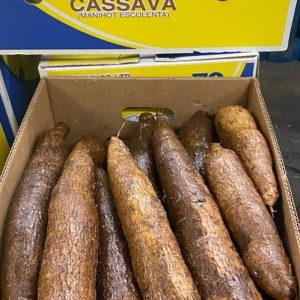 Cassava